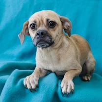 Thumbnail photo of PATTY #2