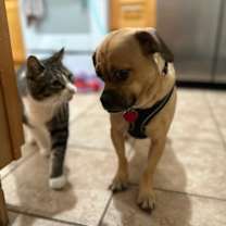 Thumbnail photo of PATTY #3