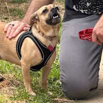 Thumbnail photo of PATTY #4