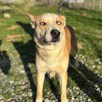 Thumbnail photo of MISTO #2