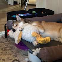 Thumbnail photo of Lex #3