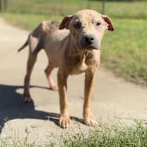 Thumbnail photo of Leona #3