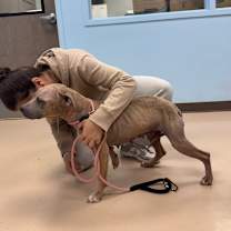 Thumbnail photo of Leona #4