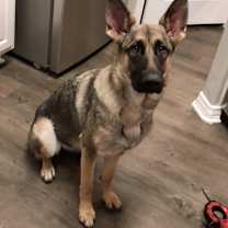 Thumbnail photo of Lilo #3