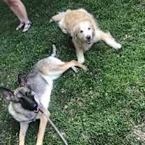 Thumbnail photo of Lilo #4