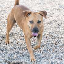 Thumbnail photo of Ricky #2