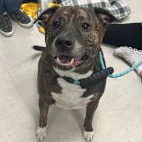 Thumbnail photo of Ivar #2