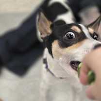 Thumbnail photo of Michael #2