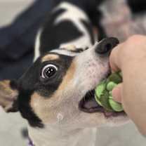 Thumbnail photo of Michael #3