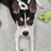 Thumbnail photo of Michael #4