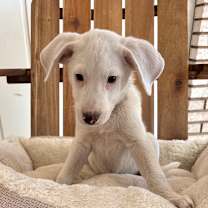 Thumbnail photo of Zach #2