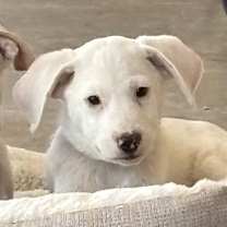 Thumbnail photo of Zach #3