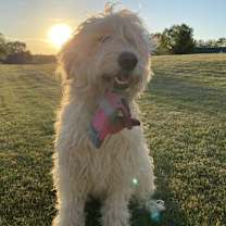 Thumbnail photo of Sawyer #2