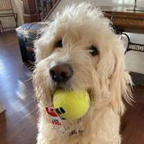 Thumbnail photo of Sawyer #3