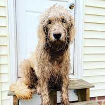 Thumbnail photo of Sawyer #4