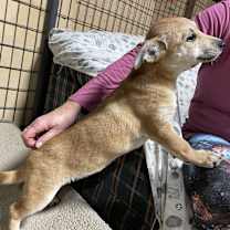 Thumbnail photo of Freya #3