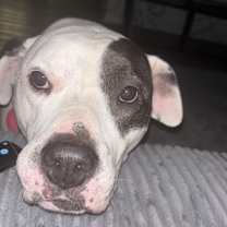 Thumbnail photo of London #3