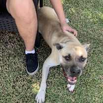 Thumbnail photo of Kane #2