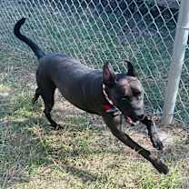 Thumbnail photo of Stormy #2