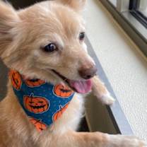 Thumbnail photo of Herman #2