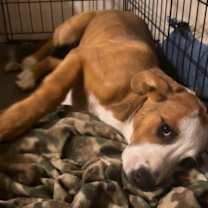 Thumbnail photo of Ty #1