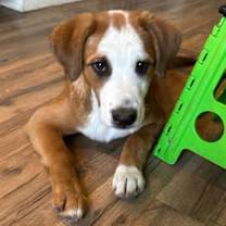 Thumbnail photo of Ty #2