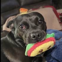 Thumbnail photo of Beans #1