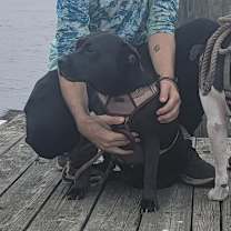 Thumbnail photo of Beans #3