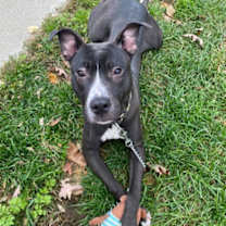 Thumbnail photo of Timmy #1