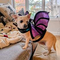 Thumbnail photo of Phillip #3