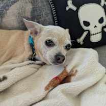 Thumbnail photo of Phillip #4