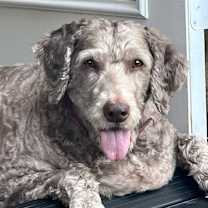 Thumbnail photo of Allie B #2