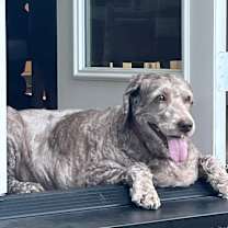 Thumbnail photo of Allie B #3