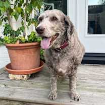 Thumbnail photo of Allie B #4