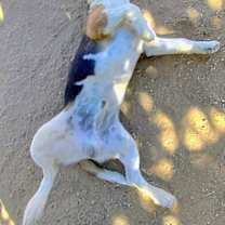 Thumbnail photo of Widget #4