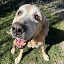 Thumbnail photo of Tank #1