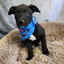 Thumbnail photo of Vince LK #2