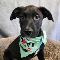 Thumbnail photo of Benjamin LK #2