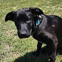 Thumbnail photo of Benjamin LK #4