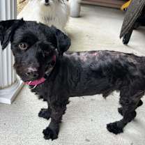 Thumbnail photo of Drew #1