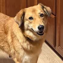 Thumbnail photo of Margarita #2