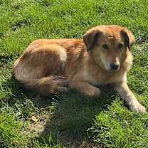 Thumbnail photo of Margarita #3