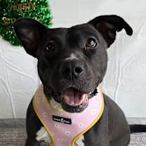 Thumbnail photo of Marceline #1