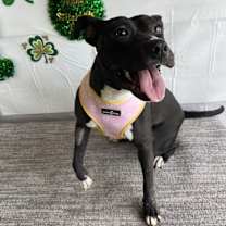 Thumbnail photo of Marceline #2