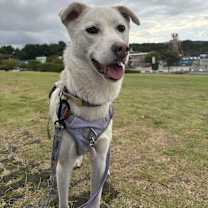 Thumbnail photo of Liv #3