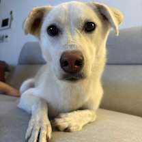 Thumbnail photo of Liv #4