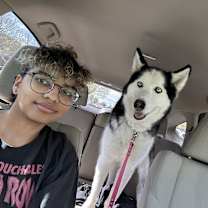 Thumbnail photo of Cheese #3