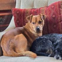 Thumbnail photo of Perry #3