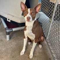 Thumbnail photo of Nakia #1