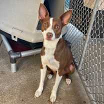 Thumbnail photo of Nakia #2